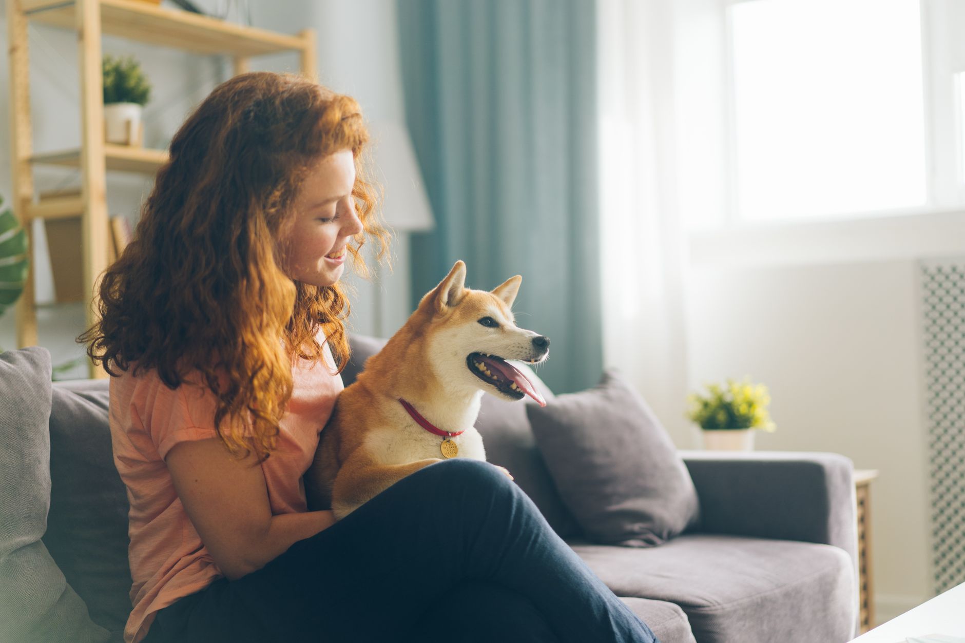 Canada Vet Express (US)