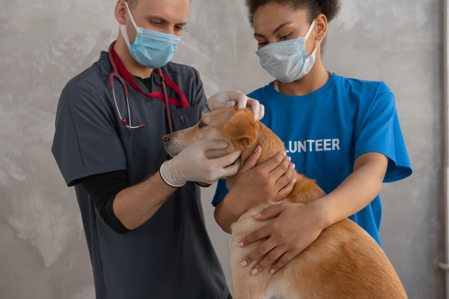 Jackson Galaxy related scene photograph