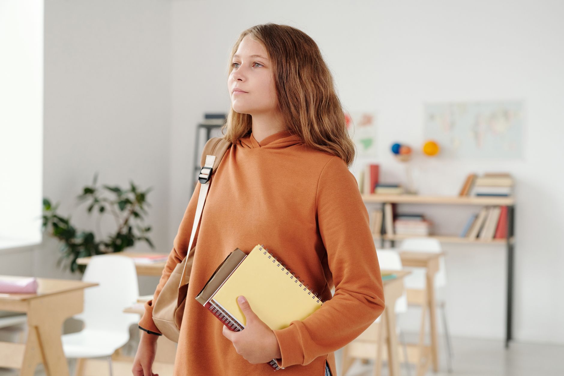 Softlite related scene photograph