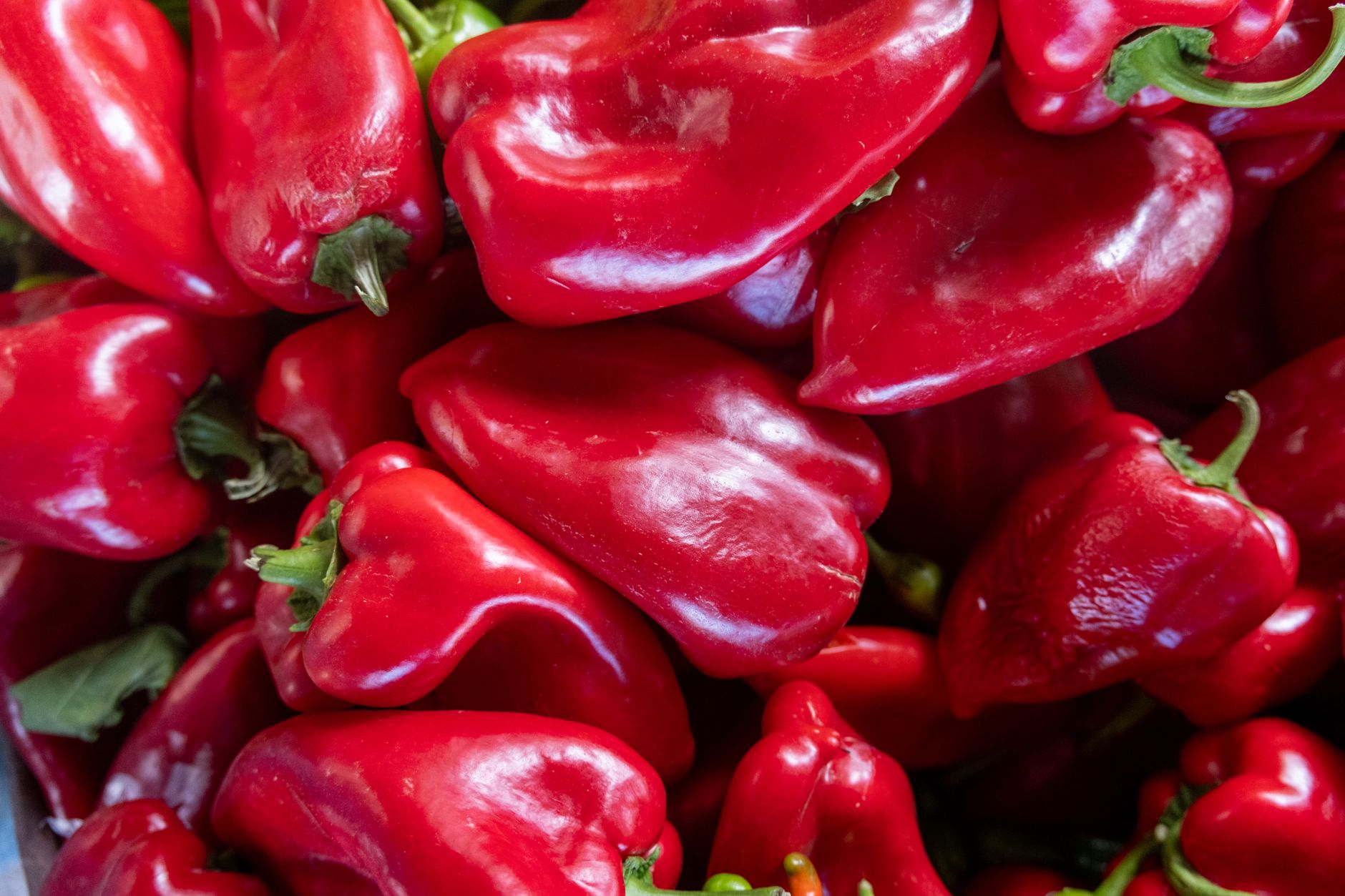Electric City Roasting Co. related scene photograph