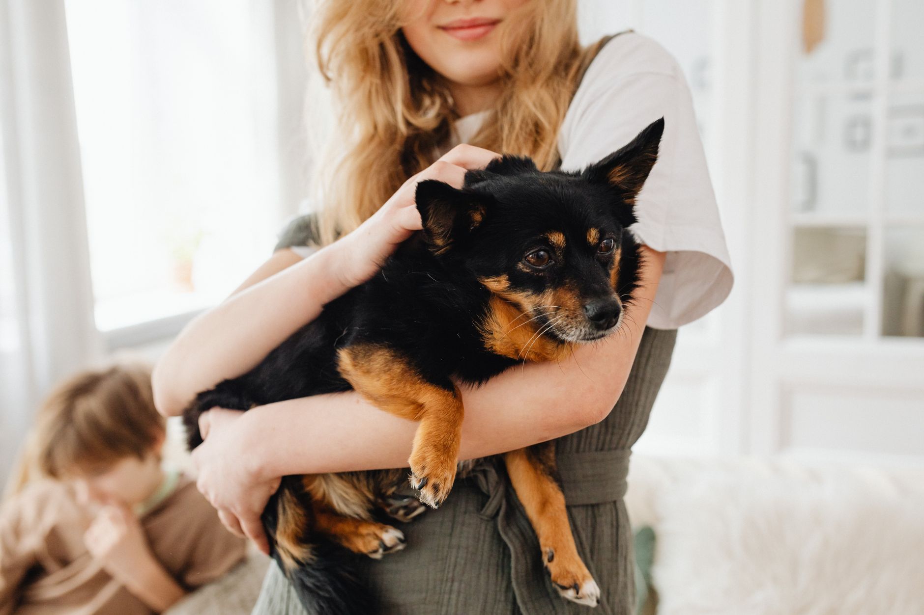 Get Joy & Co. related scene photograph