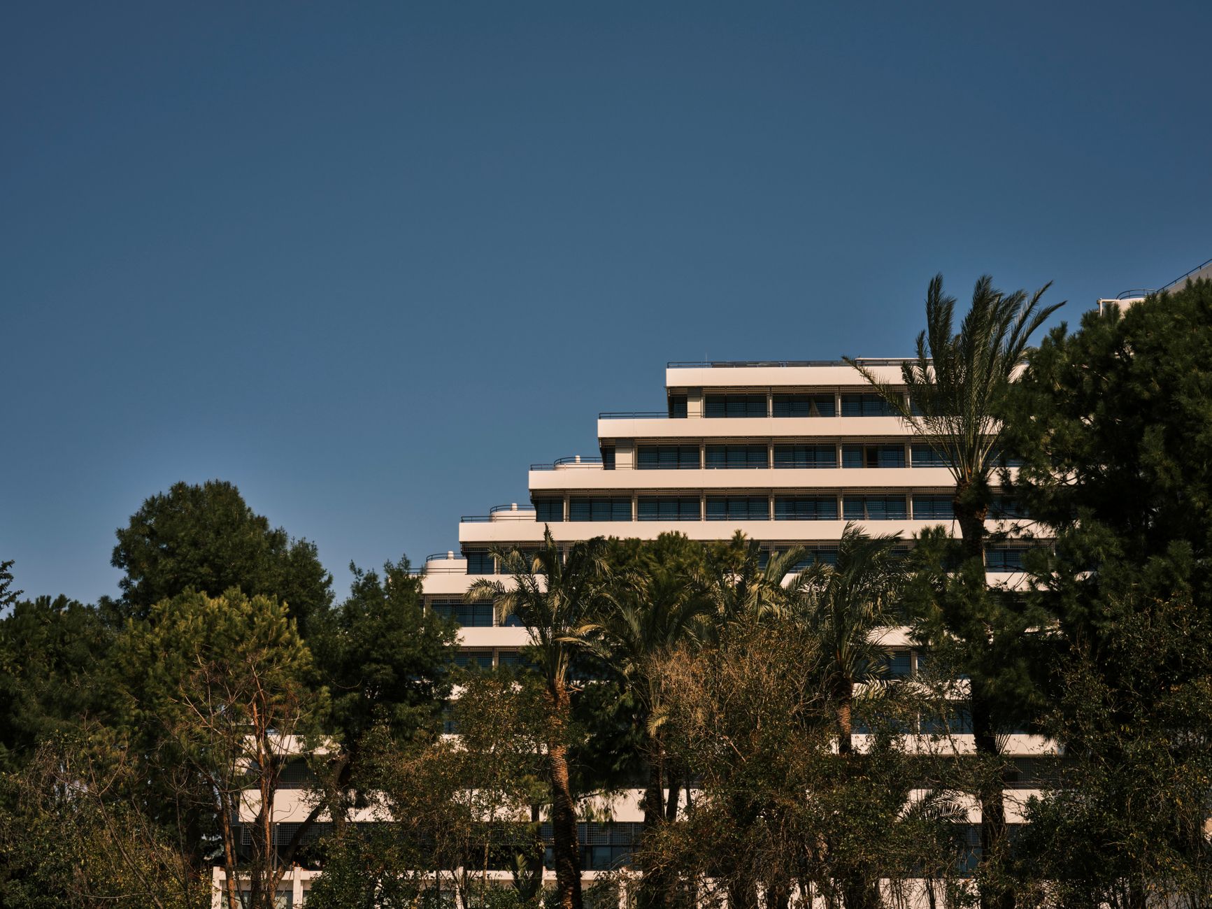 Westgate Resorts related scene photograph
