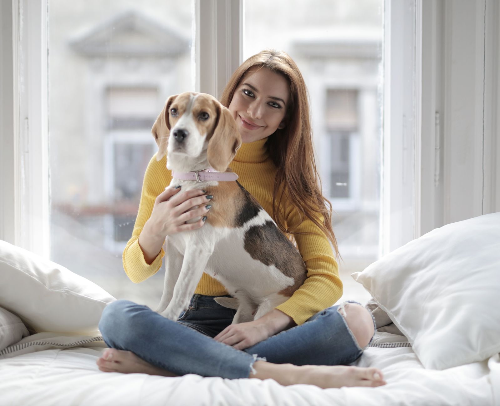 Woof related scene photograph