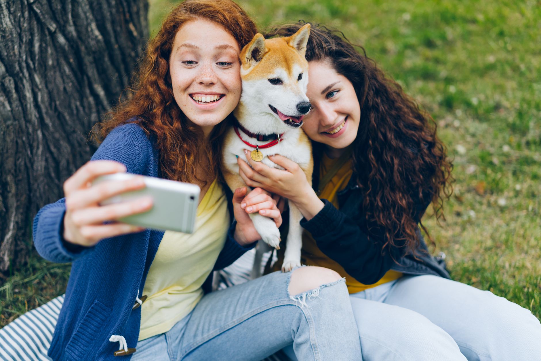 Innovative Pet Lab related scene photograph