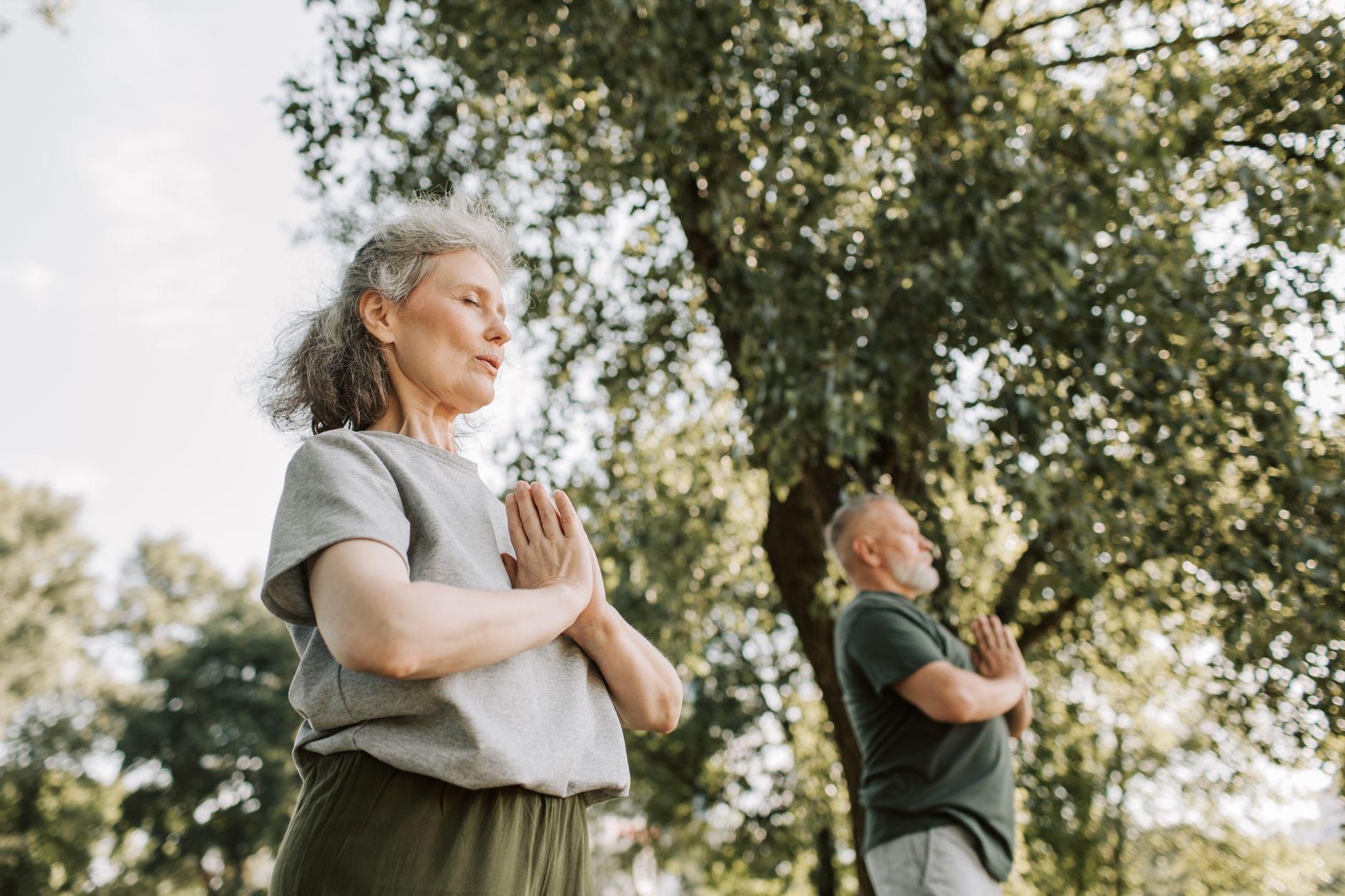 Horizon Fitness related scene photograph