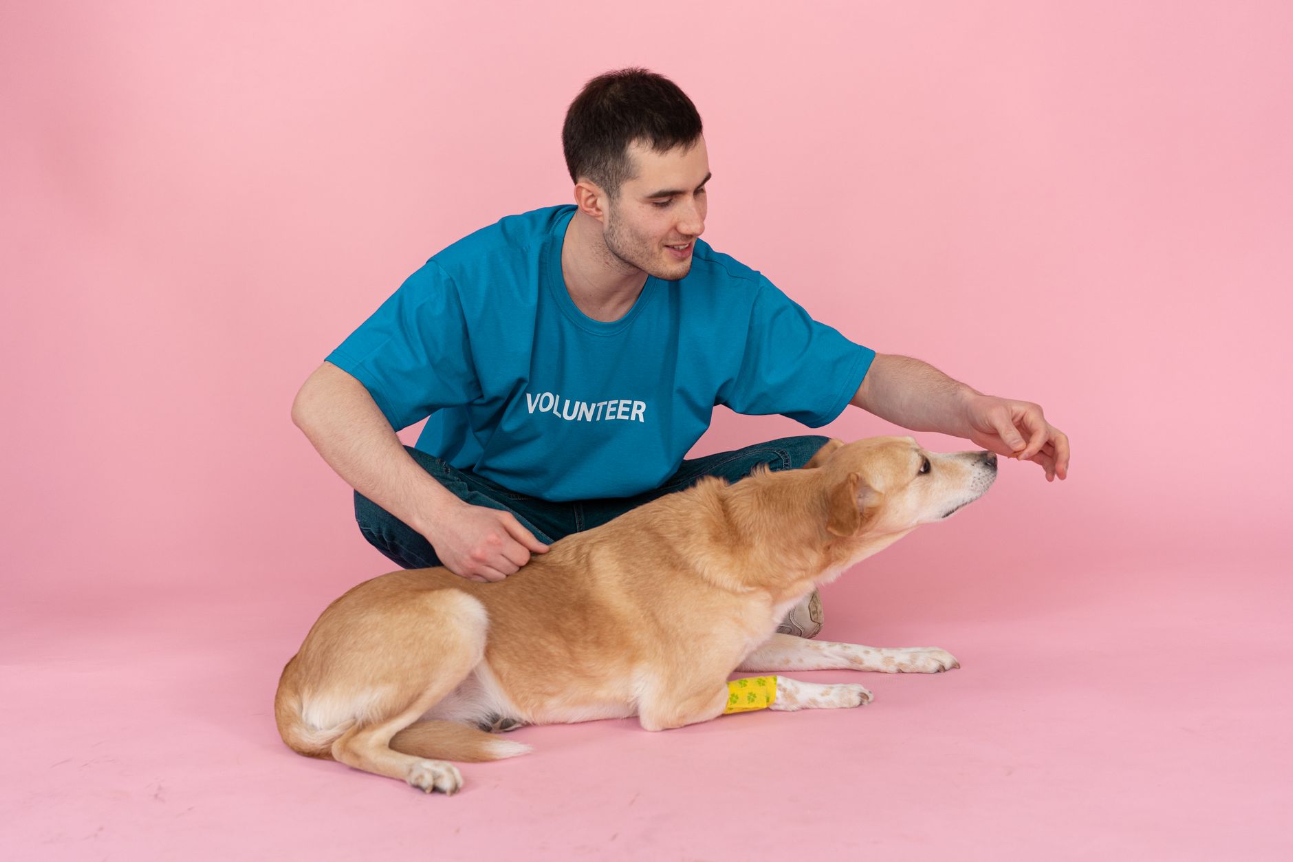 The Pet Project related scene photograph